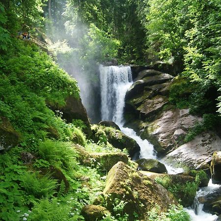 Rita - Atemberaubenden Wasserfaelle Triberg im Schwarzwald Dış mekan fotoğraf