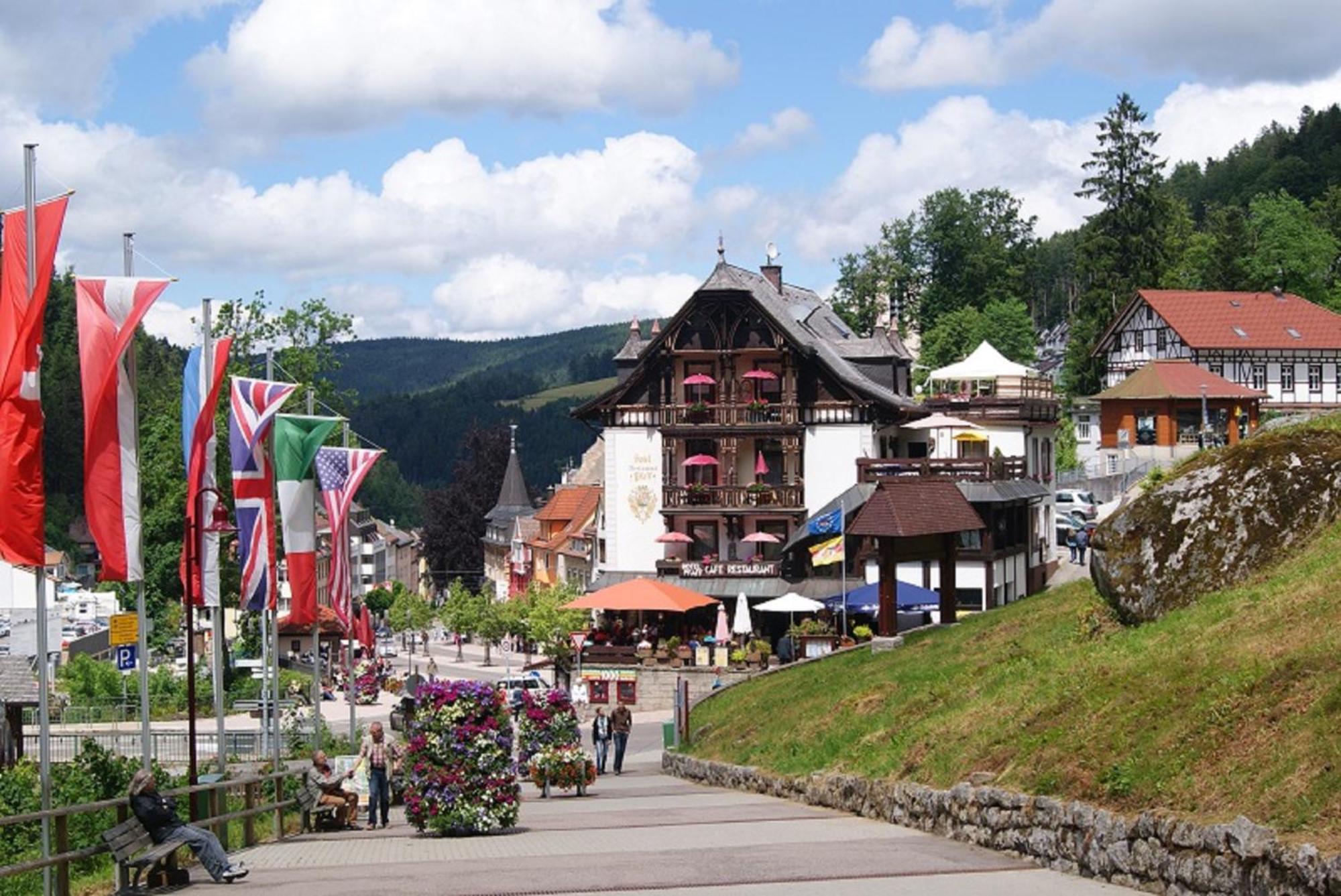 Rita - Atemberaubenden Wasserfaelle Triberg im Schwarzwald Dış mekan fotoğraf