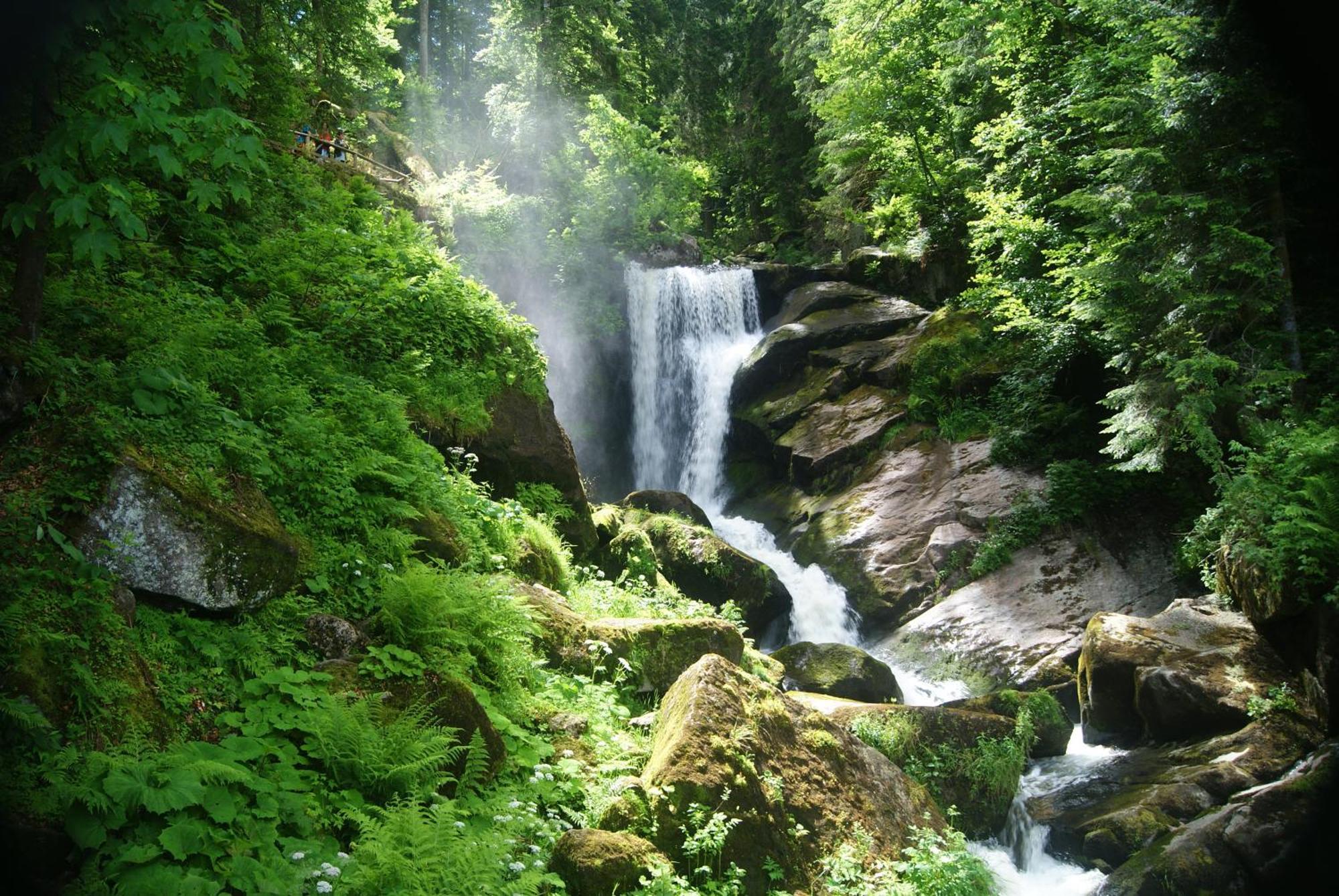Rita - Atemberaubenden Wasserfaelle Triberg im Schwarzwald Dış mekan fotoğraf